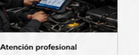 Atención profesional ASEC